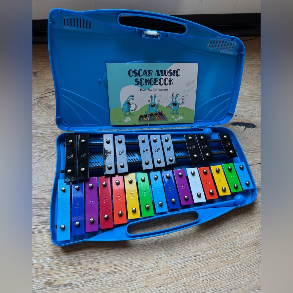 NEW Xylophone Glockenspiel Price Firm!
